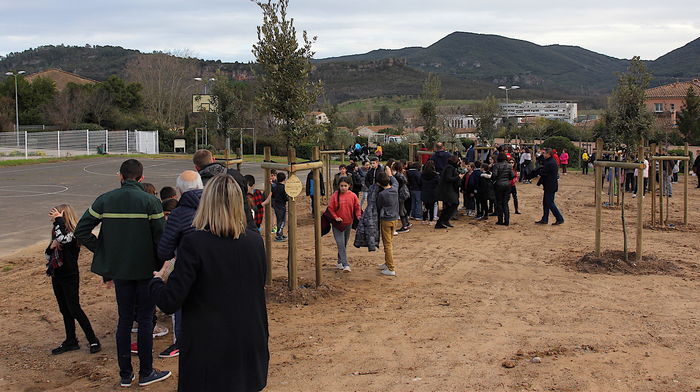 UN BOSQUET DE 50 ARBRES INAUGURÃ‰ AVEC LES ENFANTS