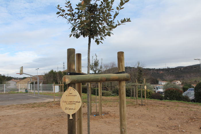 UN BOSQUET DE 50 ARBRES INAUGURÃ‰ AVEC LES ENFANTS