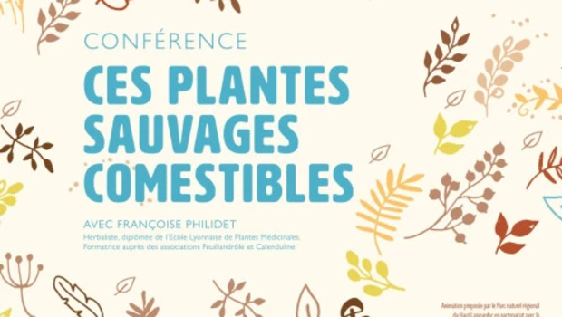 Conférences « Ces plantes sauvages comestibles »