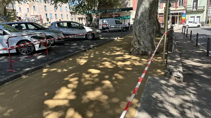 Un vent de renouveau souffle dans le quartier du château, mais pas que !  