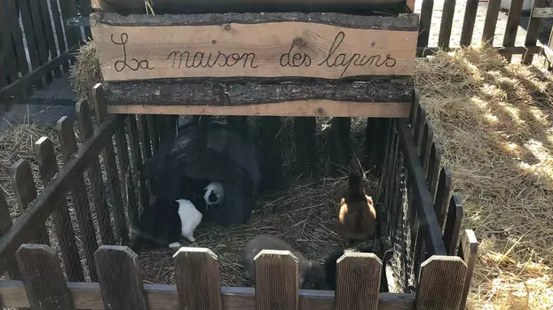 La petite ferme de Marou