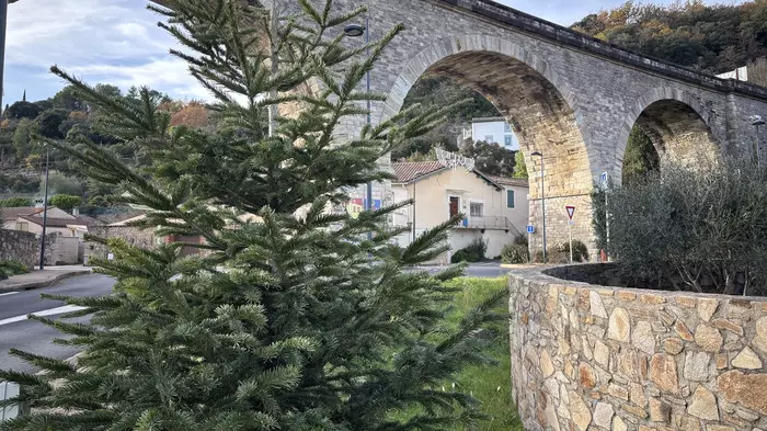 Décorez le sapin de votre quartier !