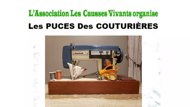 Puces des couturières